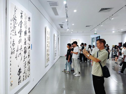 翰墨飄香連深邕，問(wèn)道八桂譜新篇——2024深圳“翰墨寶安”書(shū)法交流展在南寧成功舉辦